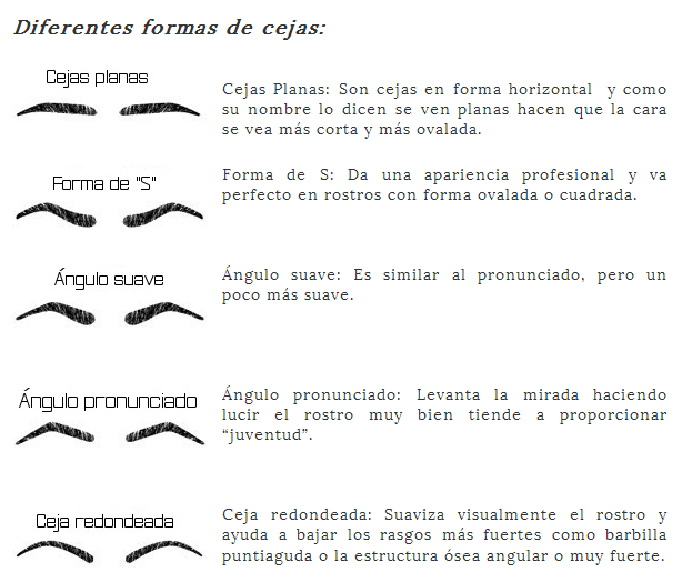 tipos de cejas